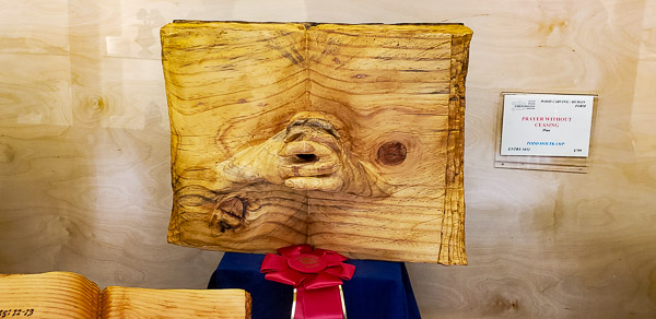 San Diego County Fair